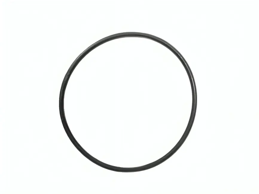 ORING TAPA PRINCIPAL PARA BOMBA-3 IN-BLACKMER 