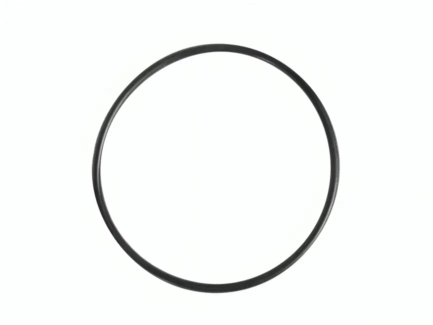 ORING PARA ENTRADA BOMBA-2IN-BLACKMER