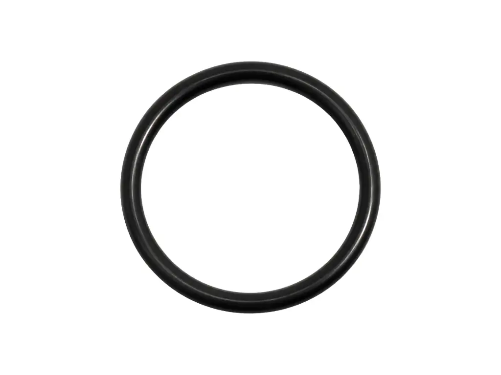 ORING VALVULA DE RELEVO PARA BOMBA - 1 IN - BLACKMER 
