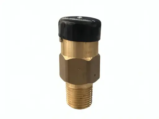 [REG-3129L] VALVULA ALIVIO DE PRESION HIDROSTATICA EXTERNA - REGO