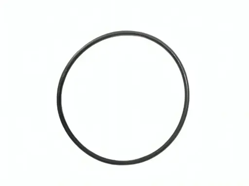 [BLA-702041N] ORING TAPA PRINCIPAL PARA BOMBA-3 IN-BLACKMER 