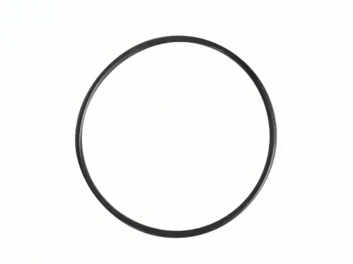 [BLA-702004N] ORING PARA ENTRADA BOMBA-2IN-BLACKMER